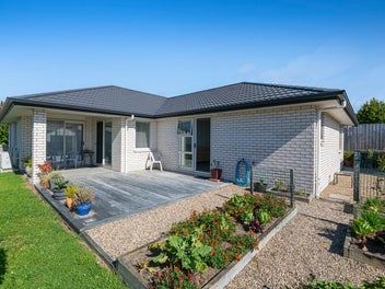 You won't find better !