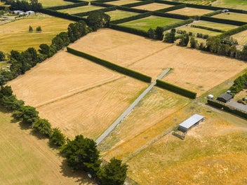 Prime secluded stand alone 4 hectare lot