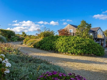 Life among the vines