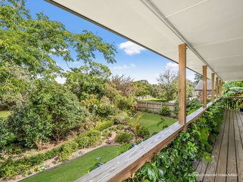 Leafy, Light-Filled Living Above It All