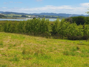 Image 1 of 31