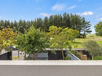 Front-Row Seats to Nature