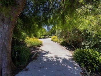 The Good Life Returns in Raumati Beach