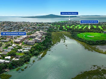 Character, Views and Income Potential