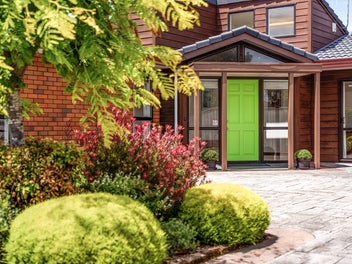 Sun-Filled Simplicity on Cedar