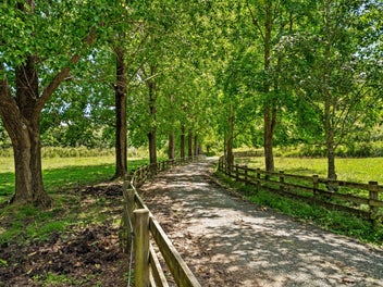 Riverside escape - Warkworth