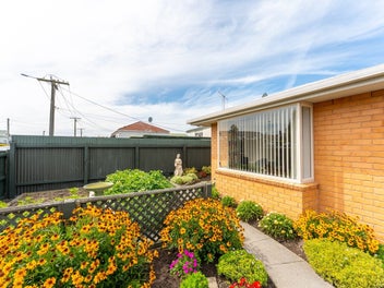 Little gem - Tidy and low maintenance