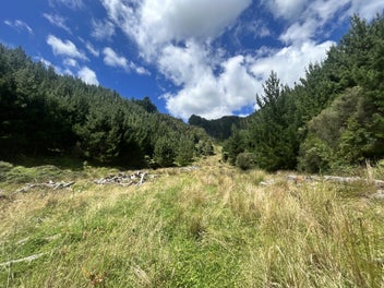 Image 1 of 13