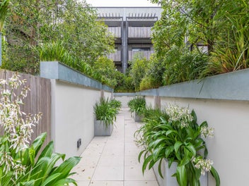 Premium Mt Eden Living