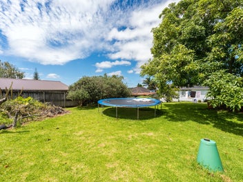 The Money Tree in Peninsula