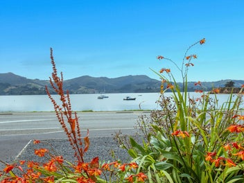 Lifestyle, scale & development potential.