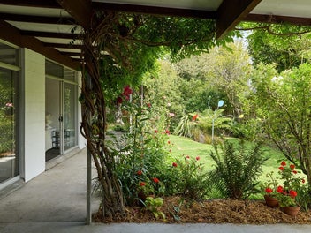 An Enduring Creative Lineage