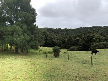 Image 1 of 8