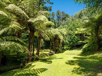 First time to market, vendor relocating