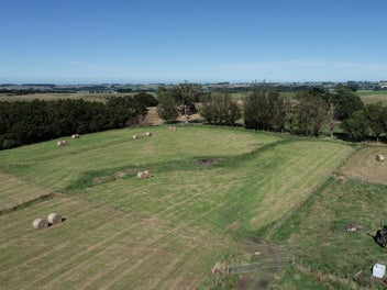Image 1 of 12