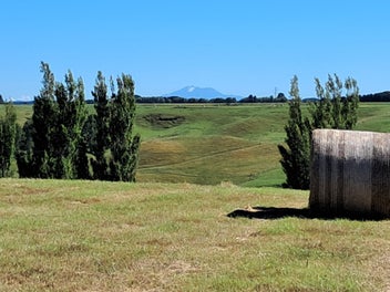 The Viewpoint | 1.47 Hectares