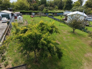 Freedom, Space and Potential All In One