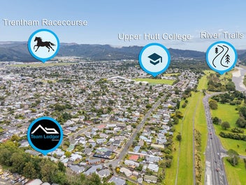 Must Sell - Auction!