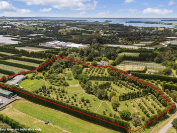 Renovated Character Home, sheds, river, income