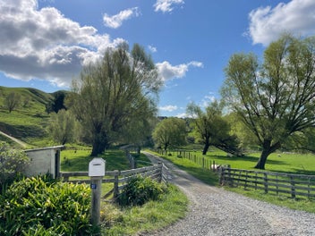Image 1 of 27