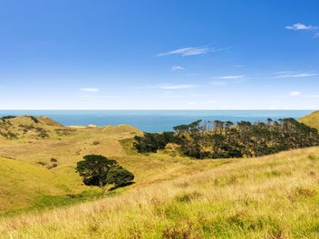 Rehutai Road Baylys Beach