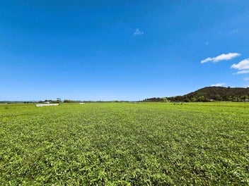 Your Future, Your Way