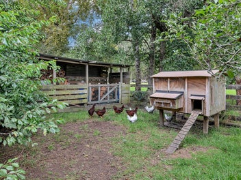 Entry level lifestyle living