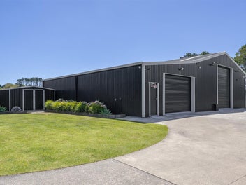 VINES VISION VICTORY