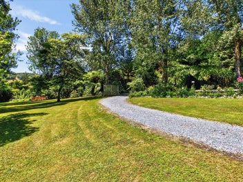 Secluded Sanctuary - Nikau Valley