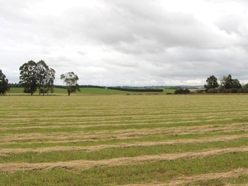 Two Titles, Quality Soils, Sought-after Location