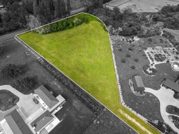 The Perfect Canvas for Your Forever Home