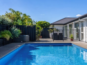 Sponge Bay living, done right