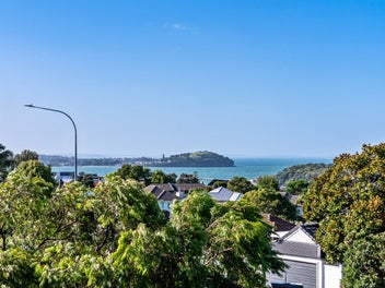 Near-new luxury/harbour views in Orakei