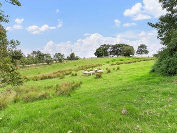 Rural Location, Yet Local