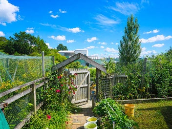 Character Upstairs, Cashflow Downstairs