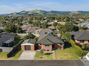 Views, Value, and Versatility in the Grove