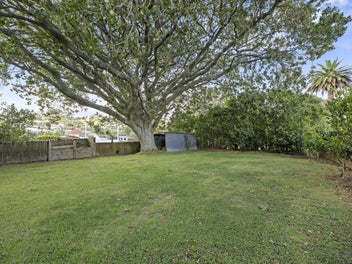 Character, Space and a Backyard Made for Cricket.