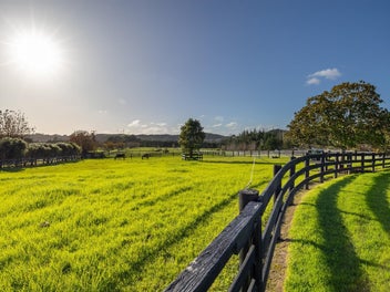 LIFESTYLE DISTINCTION