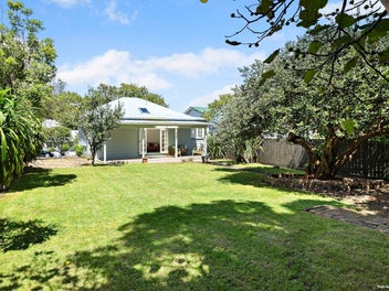 Blue Chip - Blank Canvas