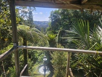 Off-Grid Freedom Among Native Bush