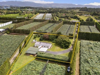 Stylishly Renovated with Exceptional Garaging!