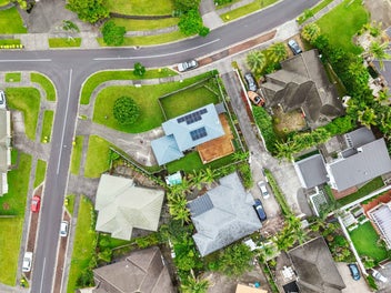 Hot Plaster Deal - Clean Moisture Inspection