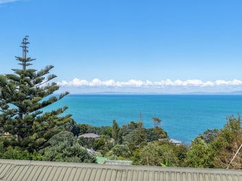 Vendors relocating overseas, it's got to go