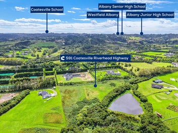 Invest or Nest! Dream Big Here