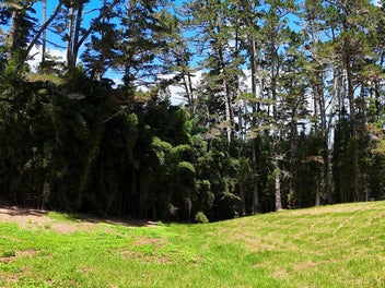 A blank canvas with endless options