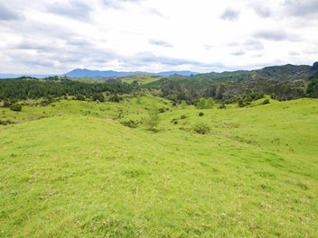 Image 1 of 20