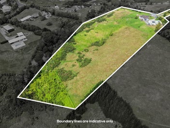 Winner Winner Money Spinner