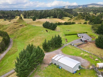 Versatile 15ha - Grazing, Views & Great Shedding