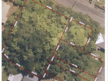 Greymouth Bushclad Section