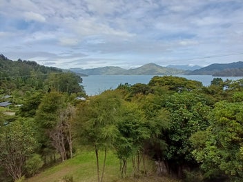 Elevated Kenepuru Sound – Views & Potential